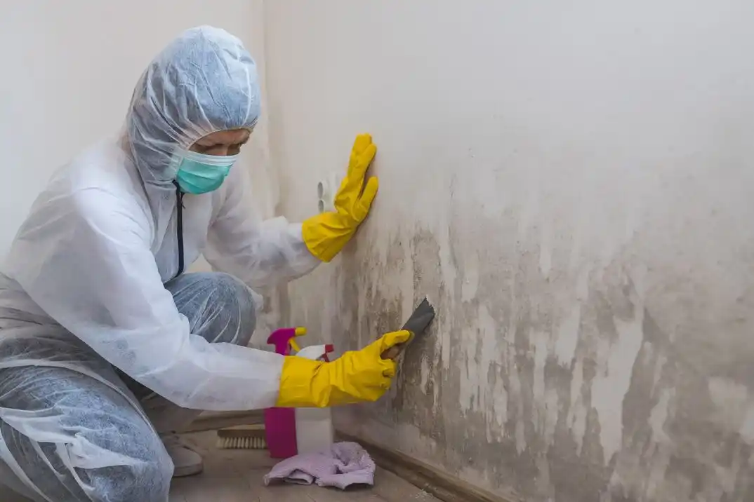 water damage restoration service Bunker Hills
